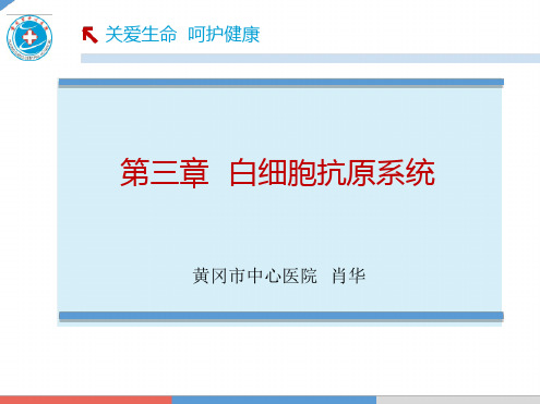 04第三章 白细胞抗原系统