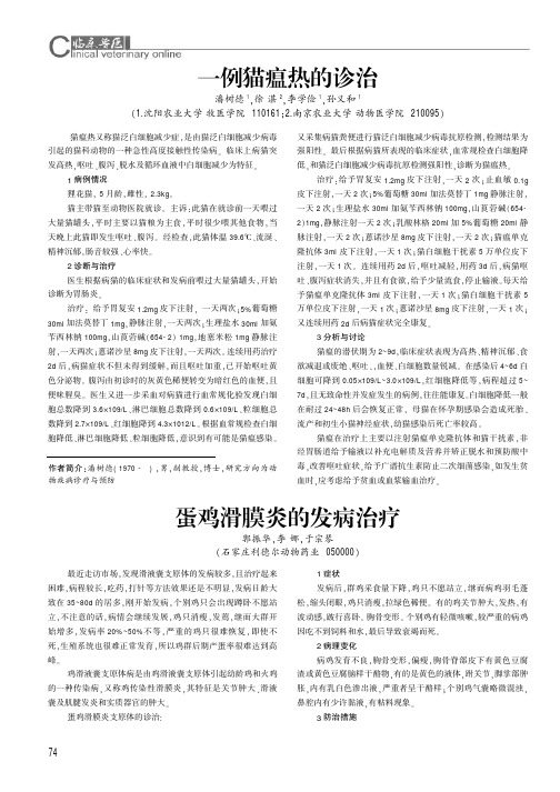 蛋鸡滑膜炎的发病治疗
