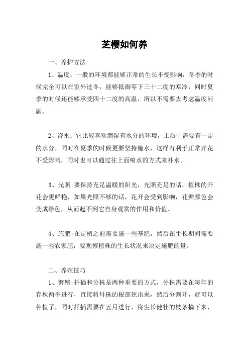 芝樱如何养