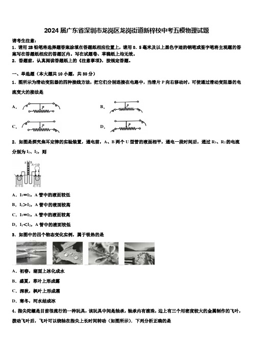 2024届广东省深圳市龙岗区龙岗街道新梓校中考五模物理试题含解析