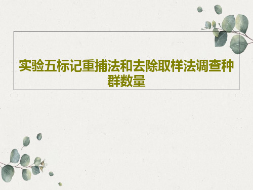 实验五标记重捕法和去除取样法调查种群数量共20页文档