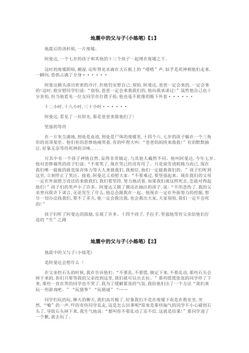 地震中的父与子(小练笔)作文
