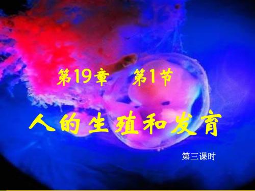 19-1-人的生殖和发育第2课时