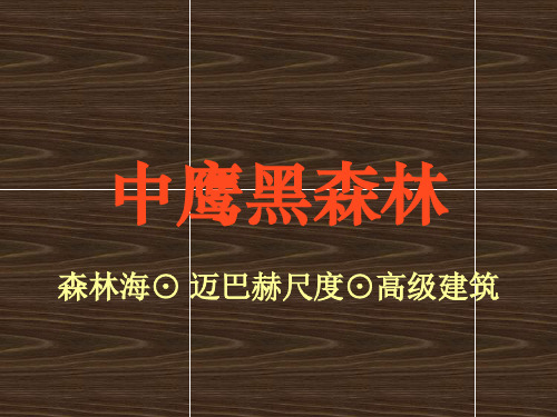 中鹰黑森林节能科技系统