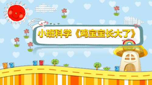 小班科学《鸡宝宝长大了》课件