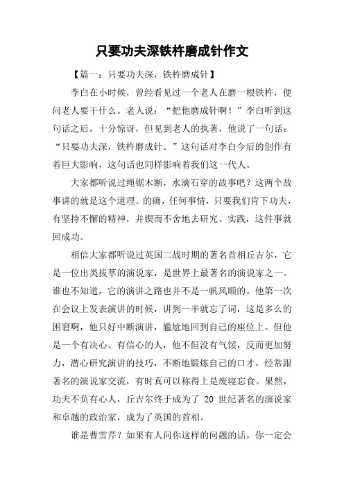 只要功夫深铁杵磨成针作文
