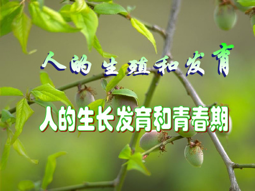 人的生长发育PPT课件