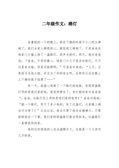 二年级作文：路灯