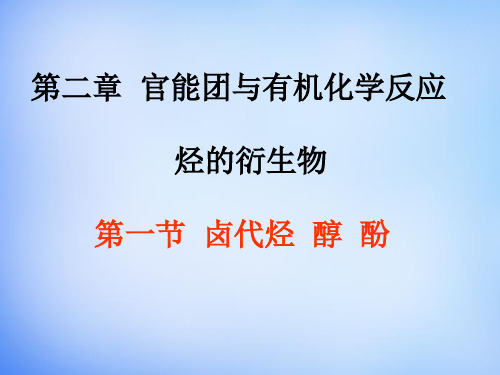 山东省高密市第三中学高中化学 2.2烃的衍生物 卤代烃