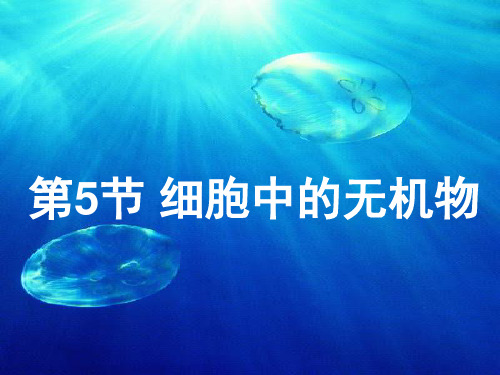 人教版高中生物必修一 课件  2.5细胞中的无机物(共24张PPT)