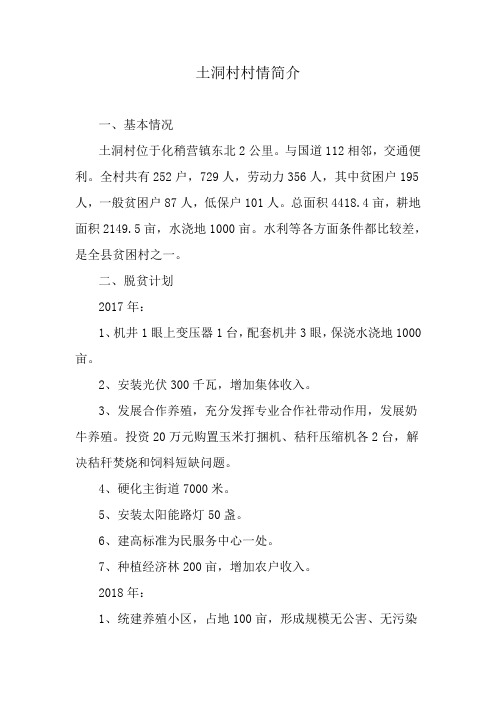 土洞村村情简介