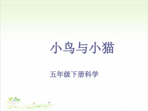五年级下册公开课- 小鸟和小猫 冀教版 (17张)课件下载