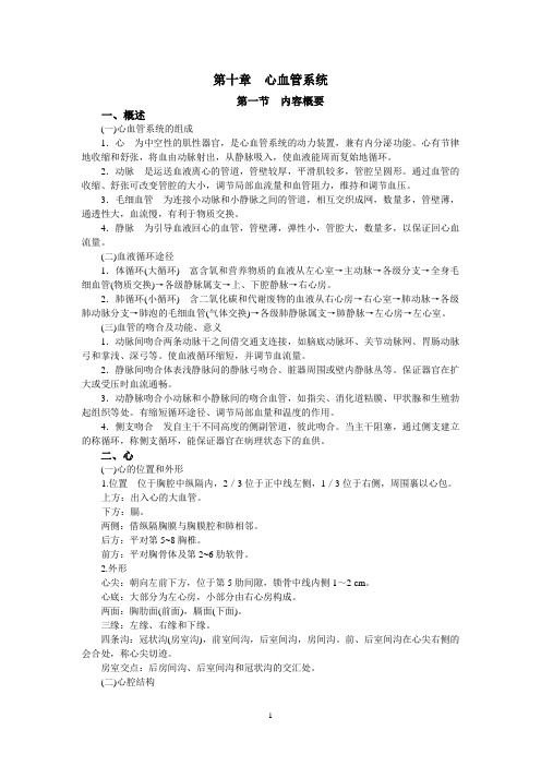 11章 心血管系统