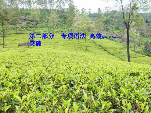 中考英语 第二部分 专题语法 高效突破 专项7 形容词课件