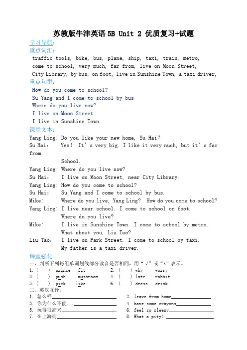 苏教版(新)5B Unit 2优质 复习+试题