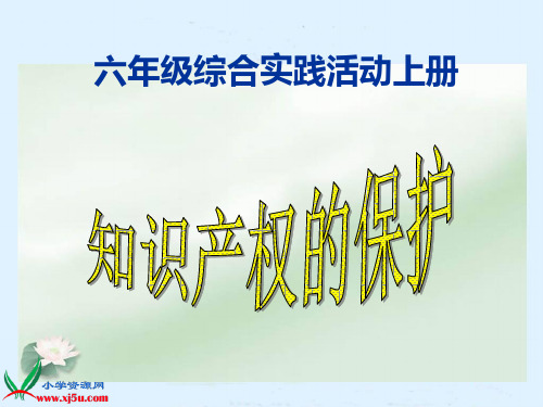 知识产权的保护PPT