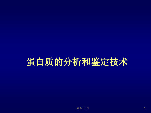蛋白质分析鉴定精品课件