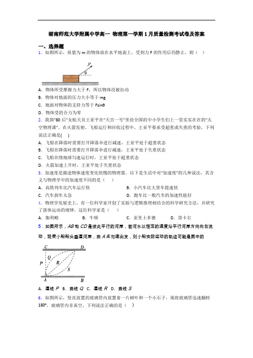 湖南师范大学附属中学高一 物理第一学期1月质量检测考试卷及答案