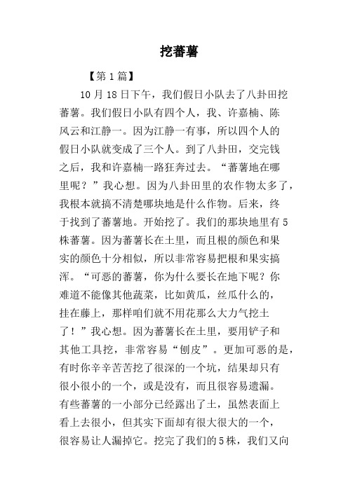 挖蕃薯