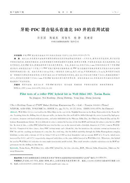 牙轮_PDC混合钻头在迪北103井的应用试验