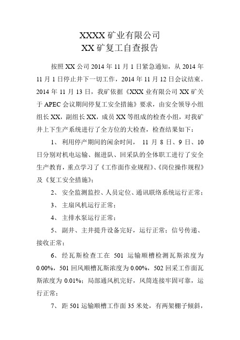 煤矿复工自查报告