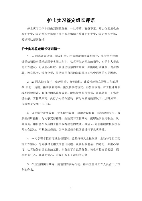 护士实习鉴定组长评语