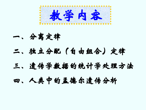 遗传学3 第三章 孟德尔式遗传分析