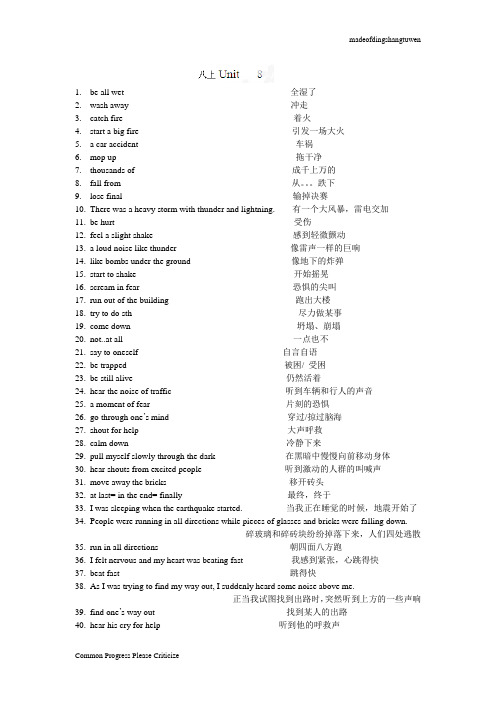 牛津译林版英语八上短语：Unit8