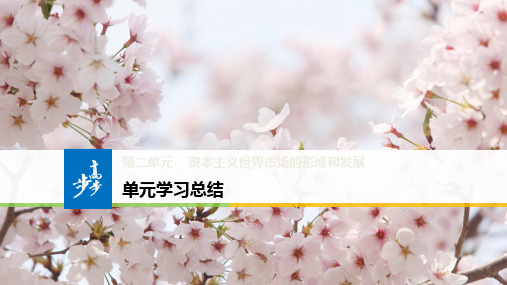 2018-2019学年高中历史人教版必修2江苏专用课件：第二单元 资本主义世界市场的形成和发展 单元学习总结
