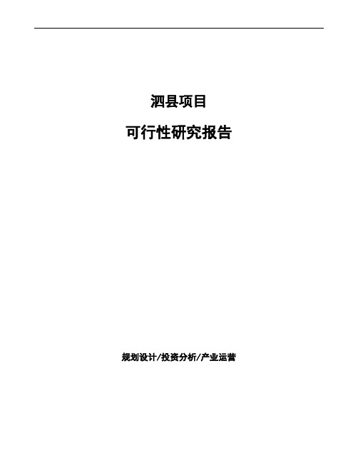 泗县项目可行性研究报告(立项模板)