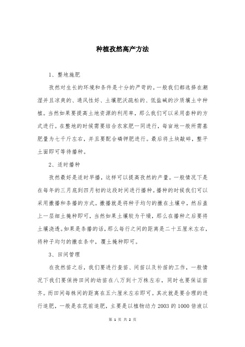 种植孜然高产方法