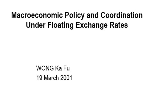 金融保险-PolicyandCoordination国际金融香港大学,WONG 精品