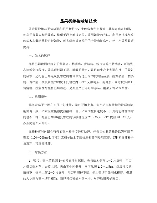 茄果类嫁接栽培技术