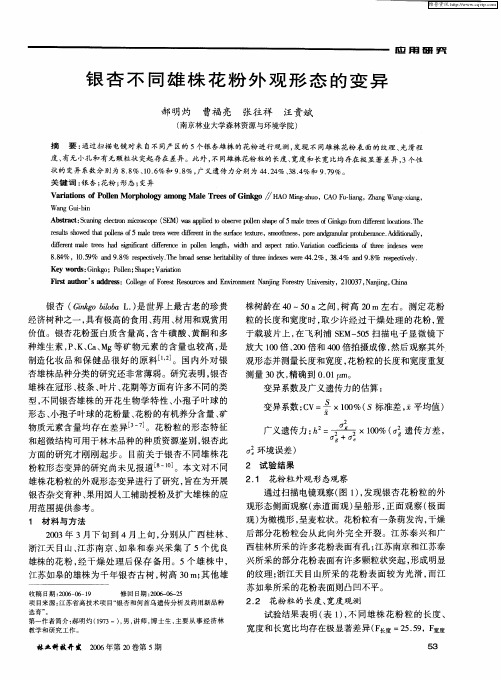 银杏不同雄株花粉外观形态的变异