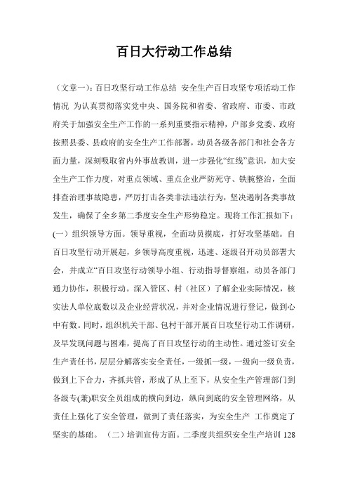 百日大行动工作总结