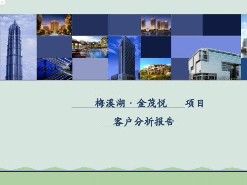 某房地产成交客户分析报告(ppt 31页)