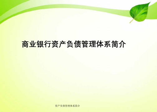 资产负债管理体系简介