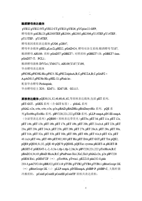 所有质粒载体汇总