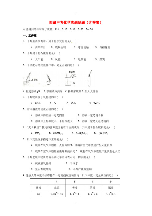 西藏中考化学真题试题(含答案)