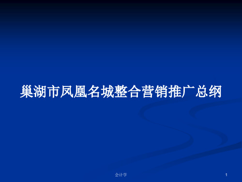 巢湖市凤凰名城整合营销推广总纲PPT学习教案