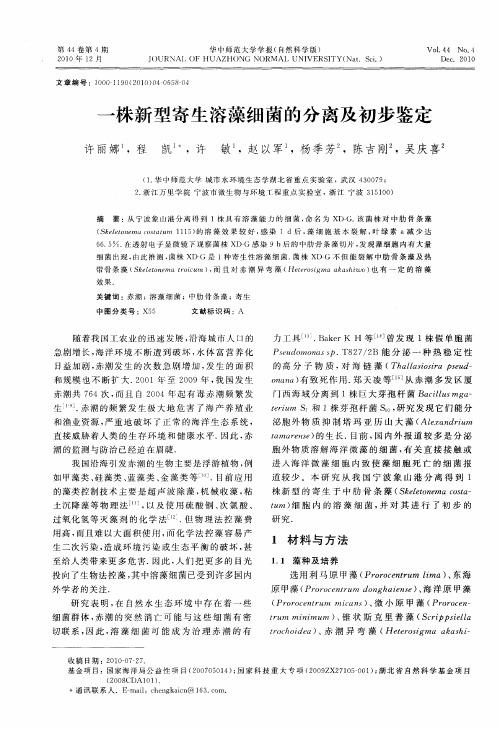 一株新型寄生溶藻细菌的分离及初步鉴定