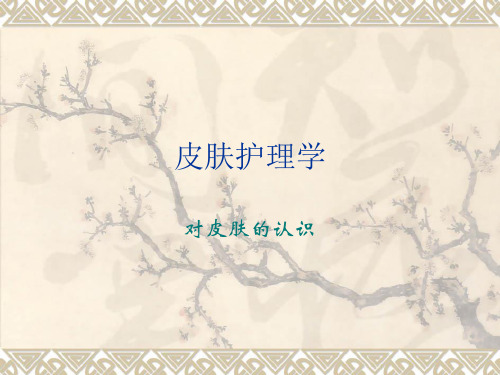 皮肤护理学