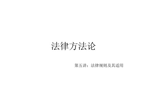 法律方法论第五讲