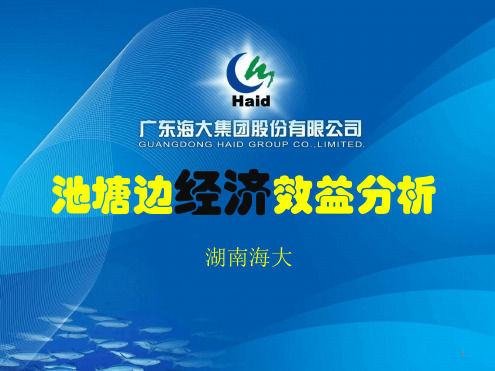 124模式之塘边经济效益 修改版课件