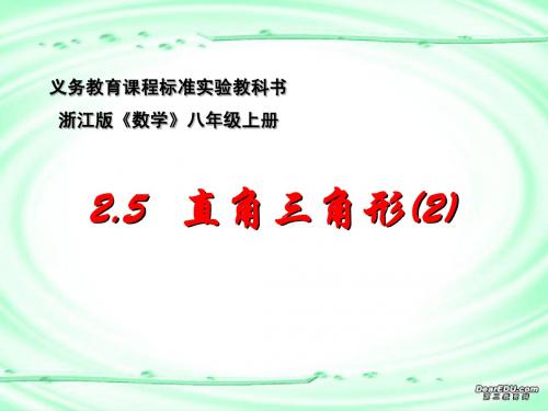 2.5 直角三角形 (2)