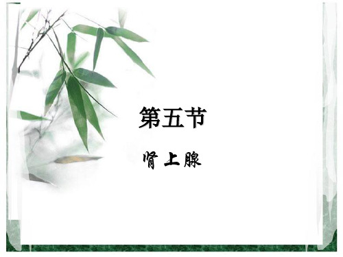 《生理学》张志雄版第九章第五、六节肾上腺,胰岛