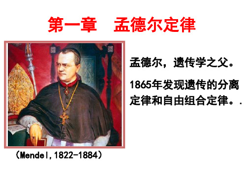 1.1 分离定律