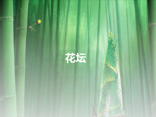 花坛