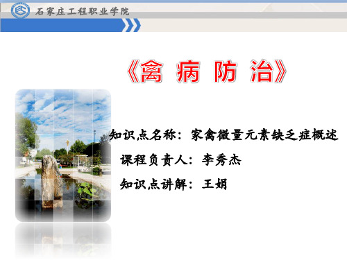 7家禽微量元素缺乏症-概述)