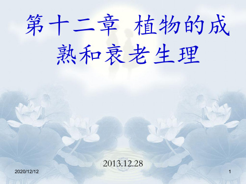中国科学院大学植物生理学第十二章植物的成熟和衰老生理 ppt课件